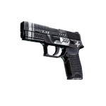 StatTrak™ P250 | Ре.конструкция